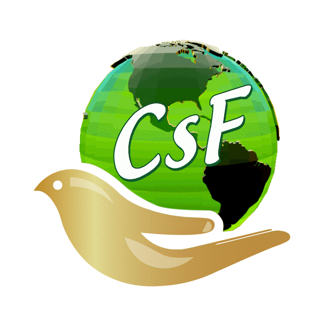 Clínicas Sin Fronteras